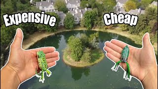 CHEAP VS EXPENSIVE FROG FISHING CHALLENGE!