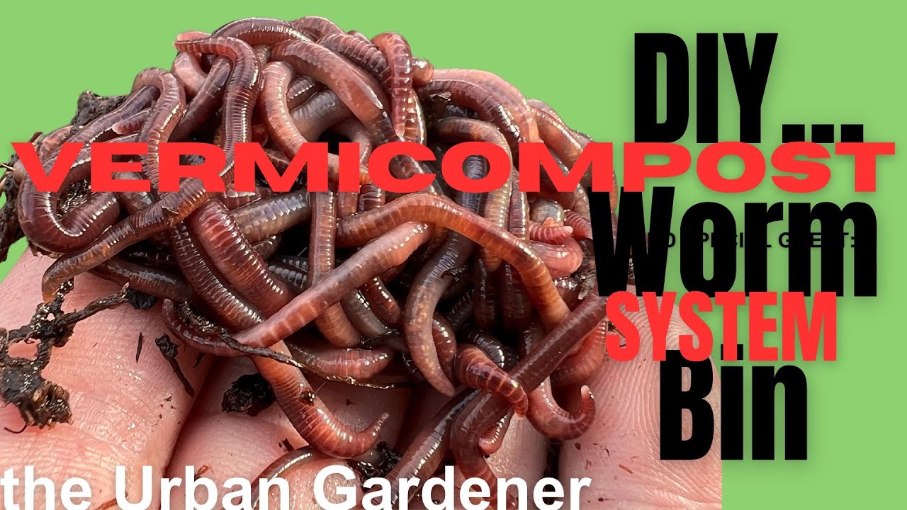 Easy DIY Worm Bin!  How To Set Up A Home Vermicompost System