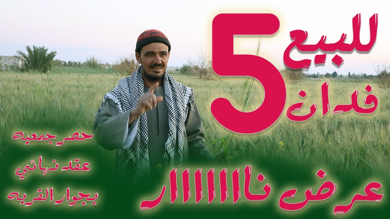 للبيع 5 فدان ارض قديمه خالصه عقد نهائي علي مصدرين ري | الفرافره | طائر الوادي