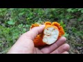 How to Forage for Lobster Mushrooms 2016