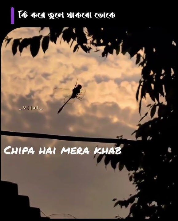 Ki Kore Vule Thakbo Toke x Suna Hai Status 🥰|| Bengali × Hindi Status||🌹 [U CREATION]