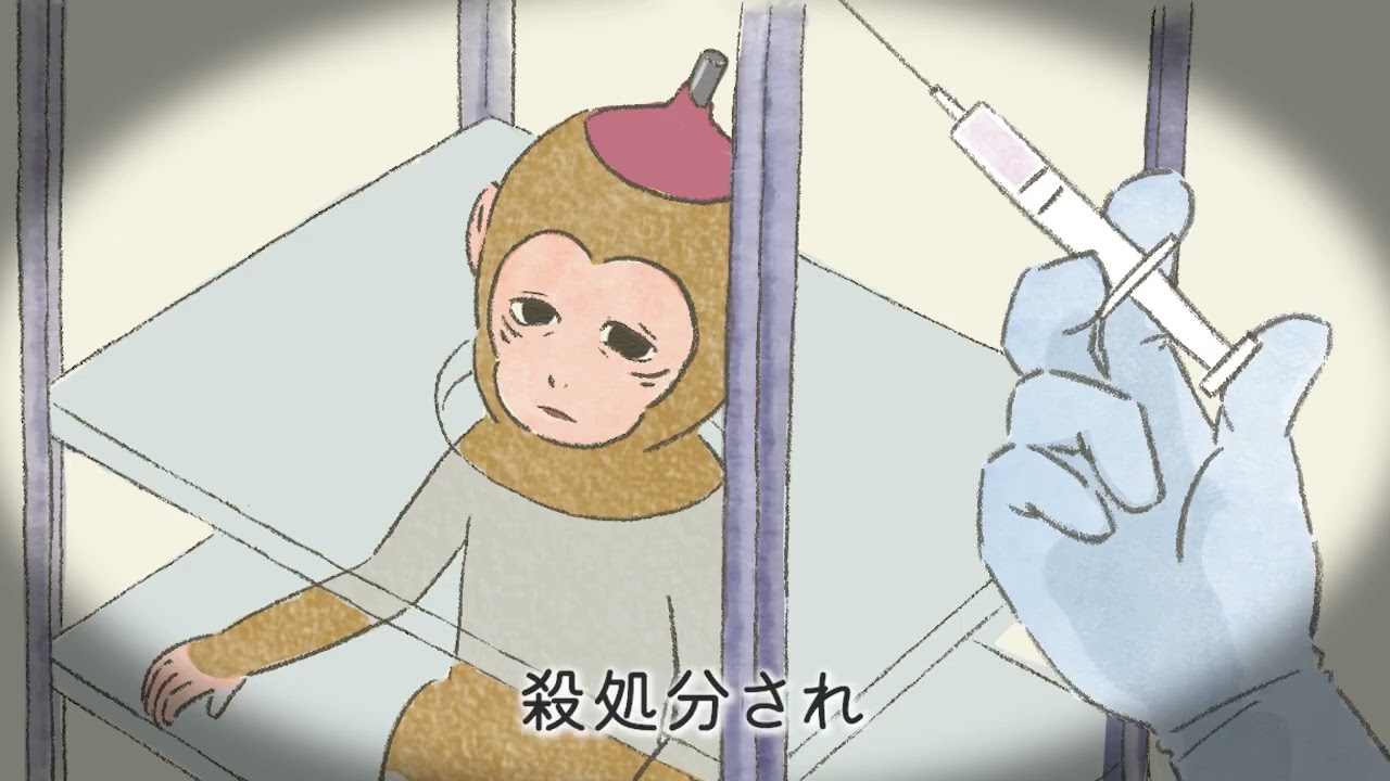皆さんの声を文科省に届けてください | 動物実験の廃止を求める