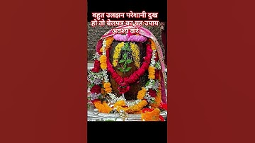 बहुत उलझन परेशानी दुख हो तो बेलपत्र का यह उपाय अवश्य करें#panditpradeepmishrasirowale