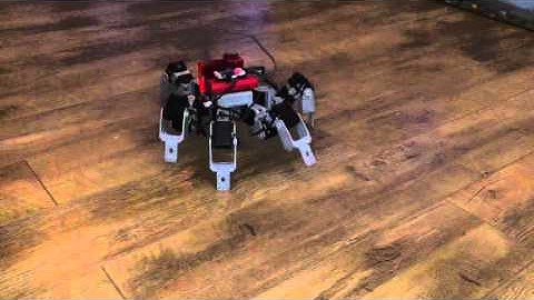 Raspberry PI Java dynamixel wireless full run