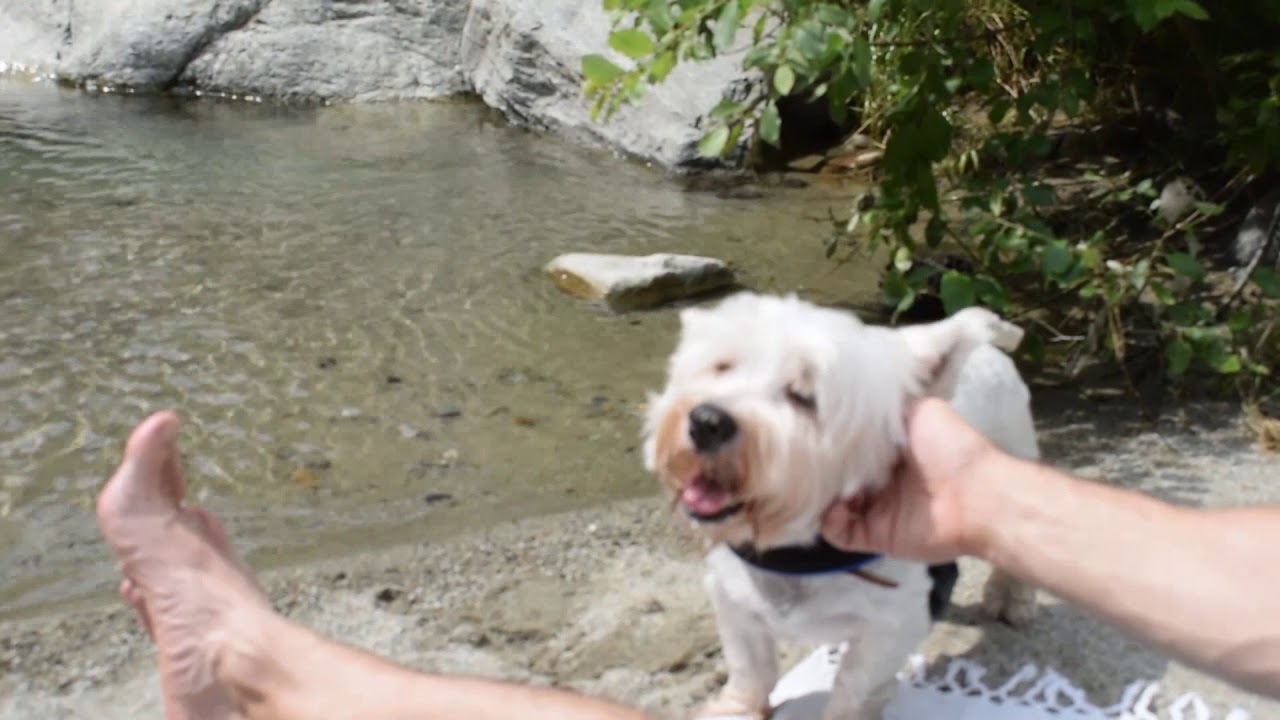 campertogno  italia descubrela