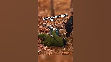 This zebra saved his owner 🥺❤️