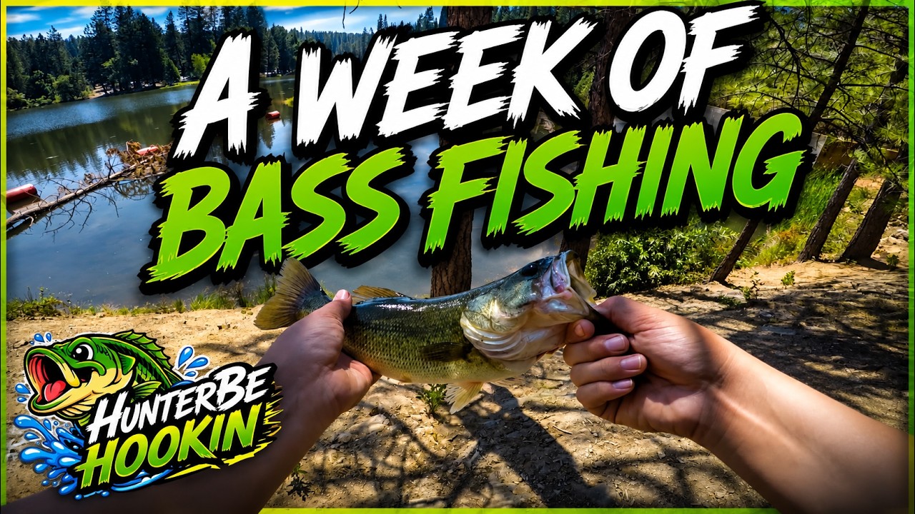 A Week of Bass Fishing (Lost A Giant!!)