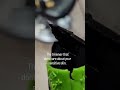 Check out my latest video