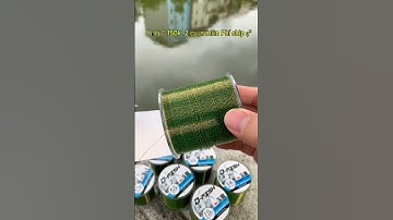 Cước Câu Cá D fish