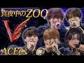 ACEes【真夜中のZOO】Arena Tour 2026 "V" より