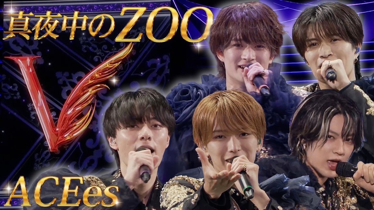 ACEes Arena Tour Merchandise