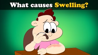 What causes Swelling? + more videos | #aumsum #kids #science #education #children