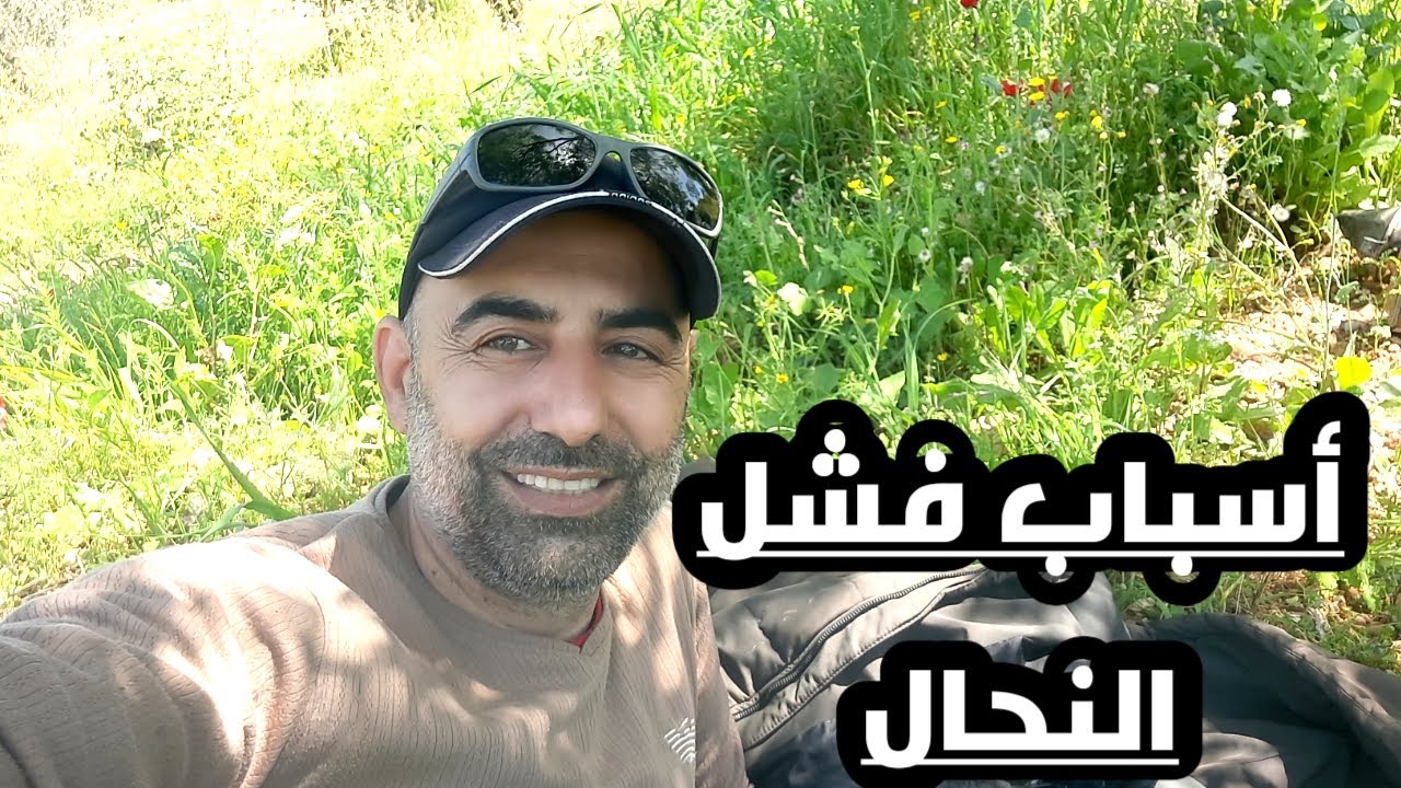 اهم ///اربع//4// اسباب لإنهيار النحل والمناحل