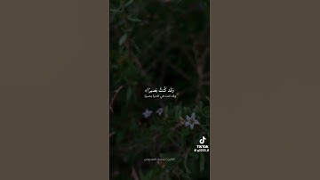 #القارئ يوسف العيدروس 🫀😴#راحة_نفسية قران كريم #لايك #اكسبلور #يارب