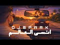 ريمكس انسى العالم DJ SPARK 