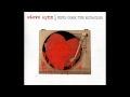 Steve Wynn - Crawling Misanthropic Blues