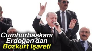 Cumhurbaşkanı Erdoğan'dan Bozkurt İşareti
