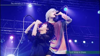 ［Trailer］「The Animals in Screen Bootleg 2」ティザー映像/Fear, and Loathing in Las Vegas
