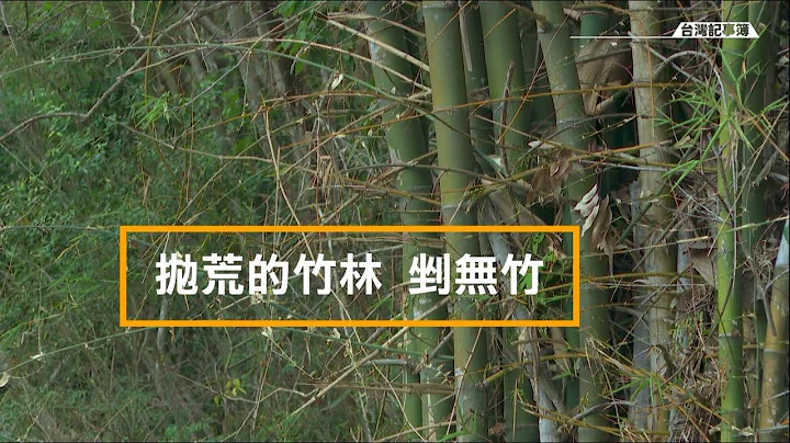 荒废多年的竹林要采伐，缺好竹也缺工 [ 竹产业重振系列-抛荒的竹林剉无竹 ] 2023.05.14 台湾记事簿 第191集 - 天天要闻