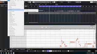 How To Enable ARA Melodyne Extensions in Cubase 10.5 working 100% screenshot 2