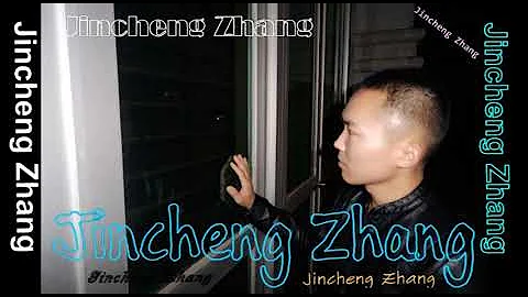 Jincheng Zhang - Do I Love You (Background Music) (Instrumental Song) (Official Audio)
