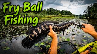 How to Catch Snakeheads on Fry Balls