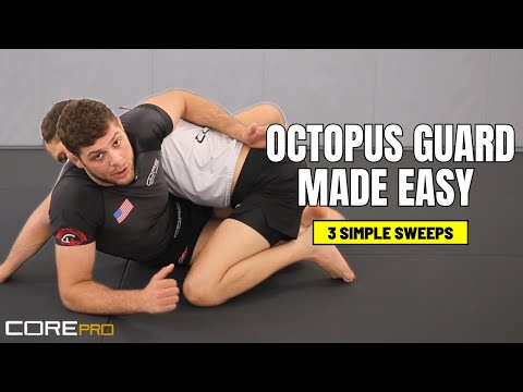 Octopus Guard Made Simple! (3 Easy Options) - YouTube