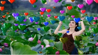 javascript project for beginners : Heart animation using css and javascript   Awesome animation