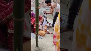 #geet #rajasthani #marriage #wedding #itsbanna #song #bannibannageet #sorts #bihanebihane #funny