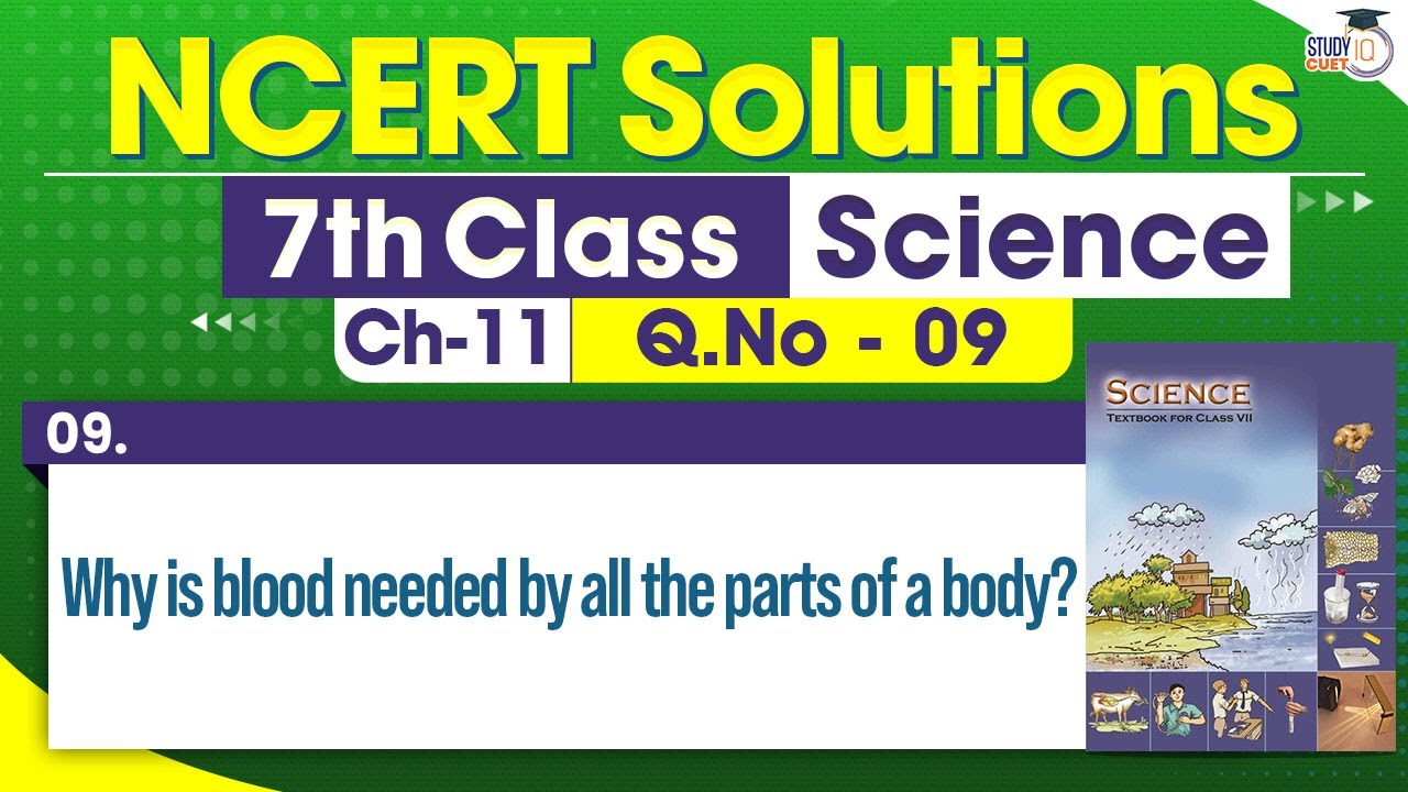 NCERT Solutions Class 7 Science Chapter 11 Question No. 9 ...