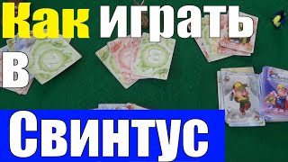 Как Играть в СВИНТУС / Настольные Игры для Всей Семьи / Игра Свинтус Правила #настольныеигры