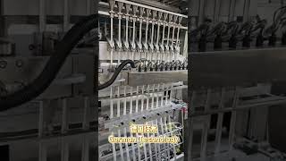 12 lane packaging machine, multilane full servo packaging machine, auto packaging machine