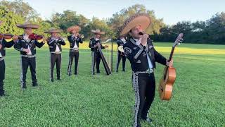 Mariachi voces De America Cielito Lindo 9 Musicos