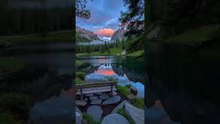 1010 Bench In Switzerland