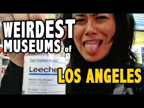 Video: Unusual and Unique Museums in Los Angeles