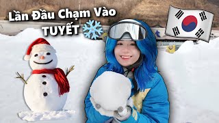 Mèo Simmy Lần Đầu Chạm vào TUYẾT !! Simmy Du lịch Hàn Quốc