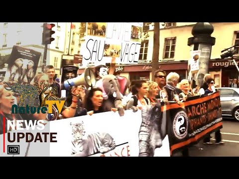Global March for Elephants & Rhinos