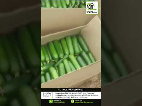 IGO Agri Techfarms Polyhouse Farming Projects