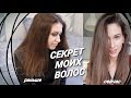 Как я отрастила качественные длинные волосы / Выпадение волос / Уход за волосами by Anna Sheina