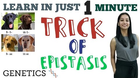 TRICK OF EPISTASIS|Genetics|CSIRNET|GATE|IITJAM|DU|HCU|TIFR|BHU|ICAR|Life Science|Inheritance Biolog