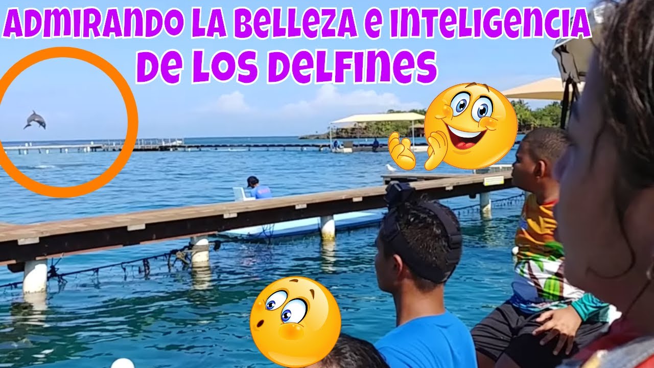 Disfrutando el show de los delfines😍 Nano no perdona le quiere pedalear la bicicleta a A.M😱 Part 6 la sirenita ariel