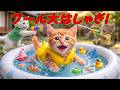 【前代未聞】プール大はしゃぎ！と水遊びを楽しんでいたここにゃん…友達から水鉄砲の不意打ちを食らって大パニックになった結果！？😭💦✨