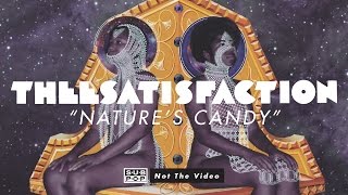 THEESatisfaction  - Nature&#39;s Candy