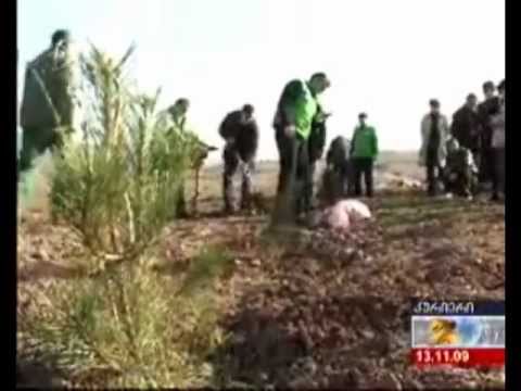 MOE. გამწვანების აქცია დევნილებთან. 13.11.2009