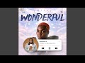 WONDERFUL REMIX mp3