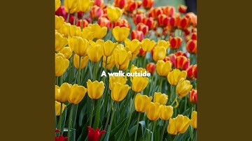 Astonishing Backdrops for Brave Keynotes