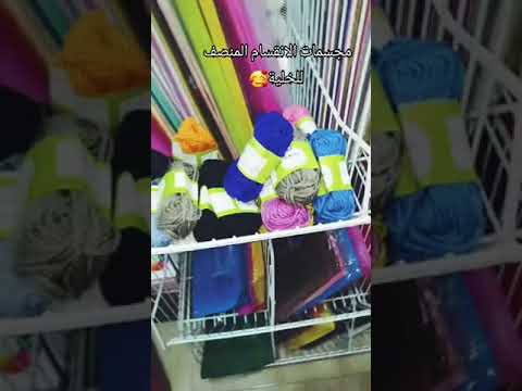 مجسمات الانقسام المنصف للخلية