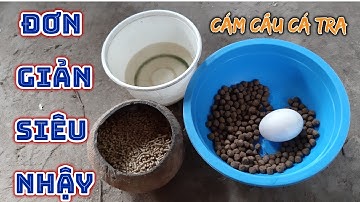 Mồi câu cá tra sông đơn giản hiệu quả làm theo sẽ biết nói bằng thừa - Nhật Ký Cần Thủ