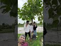 had par kar di enhgine  #funny #comedy😃😃 #entertainment #malik #farm #antics #funnymoment #jogged