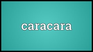 Caracara Meaning